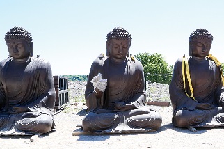 2015/06/04 運佛像
